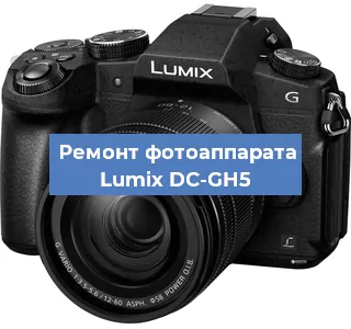 Замена затвора на фотоаппарате Lumix DC-GH5 в Челябинске